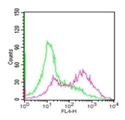 TRANCE/TNFSF11/RANK L Antibody (12A380), Alexa Fluor 647, Novus Biologicals